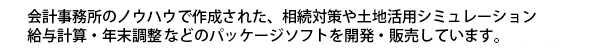 会計事務所のノウハウで作成された、相続対策や土地活用シミュレーション、給与計算・年末調整などのパッケージソフトを開発・販売しています。